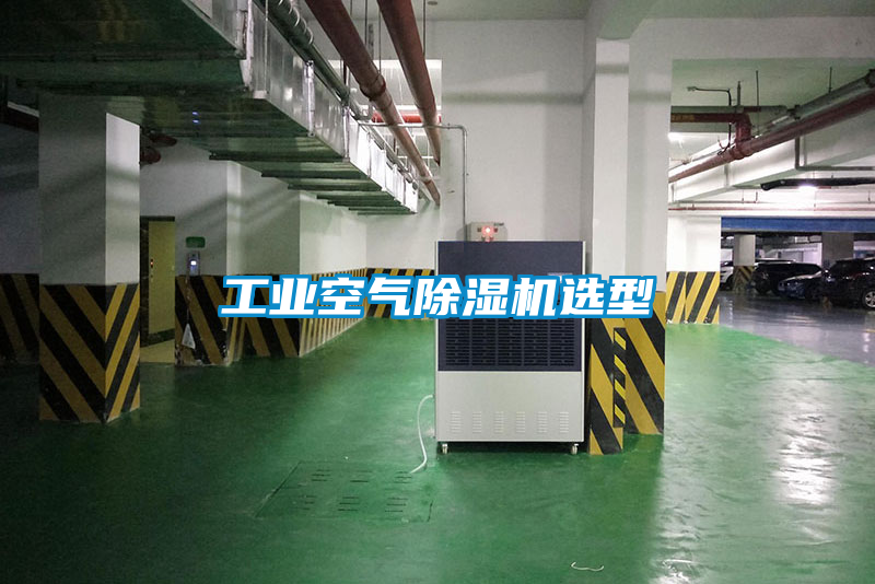 工業(yè)空氣除濕機(jī)選型