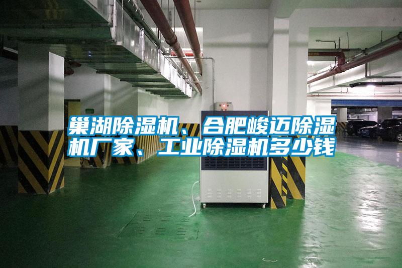 巢湖除濕機、合肥峻邁除濕機廠家、工業除濕機多少錢