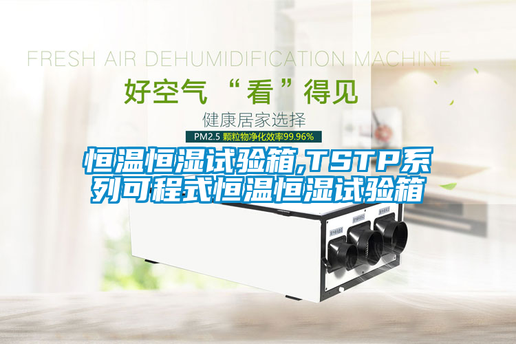 恒溫恒濕試驗箱,TSTP系列可程式恒溫恒濕試驗箱