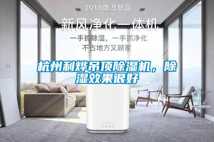 杭州利燁吊頂除濕機，除濕效果很好