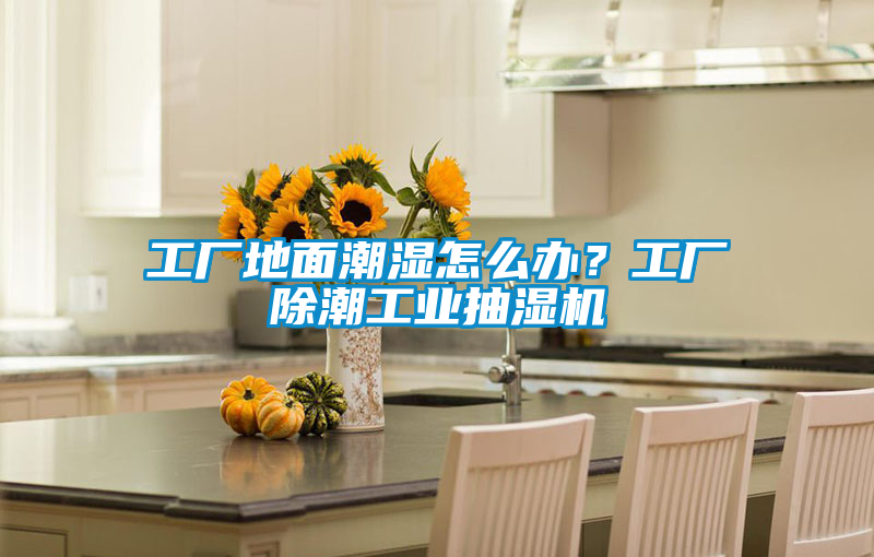 工廠地面潮濕怎么辦？工廠除潮工業抽濕機