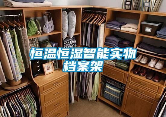 恒溫恒濕智能實物檔案架
