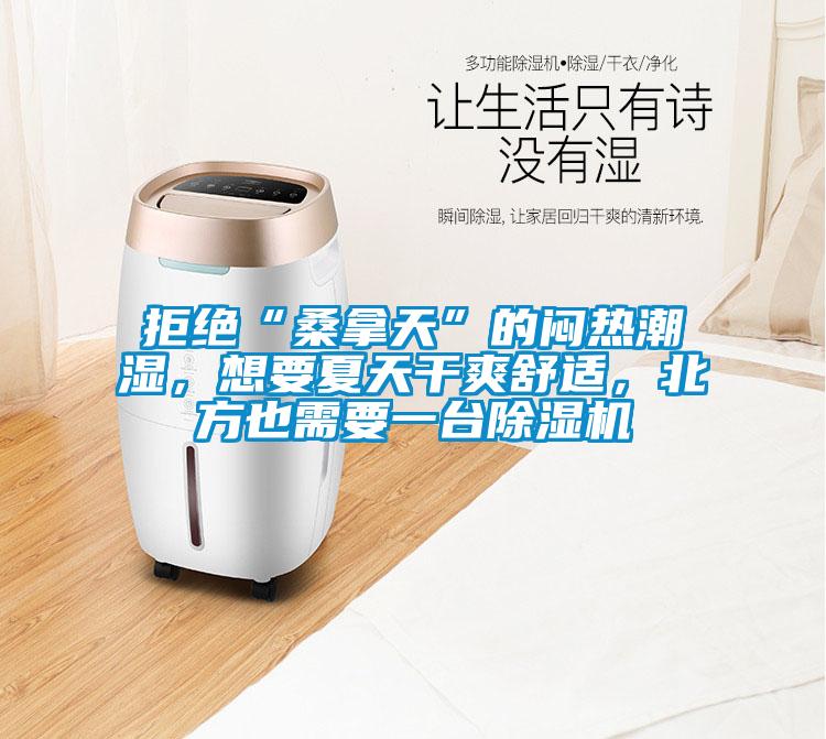 拒絕“桑拿天”的悶熱潮濕，想要夏天干爽舒適，北方也需要一臺除濕機