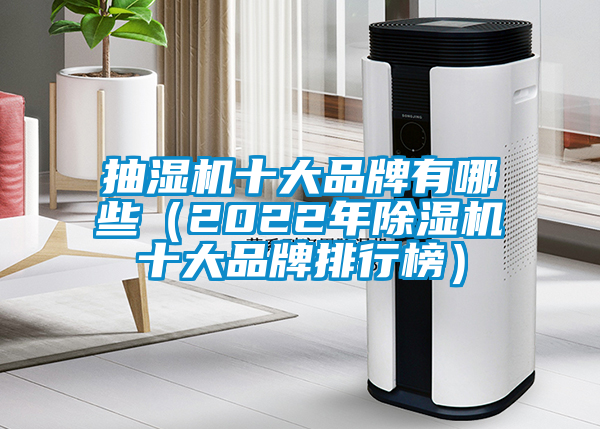 抽濕機(jī)十大品牌有哪些（2022年除濕機(jī)十大品牌排行榜）