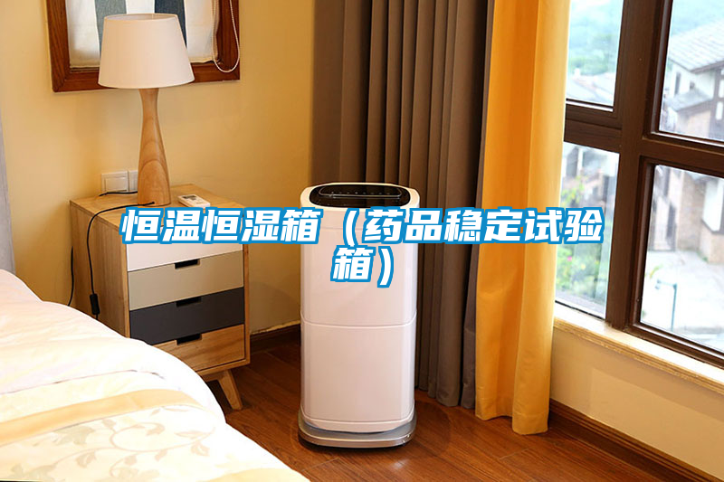 恒溫恒濕箱（藥品穩(wěn)定試驗箱）