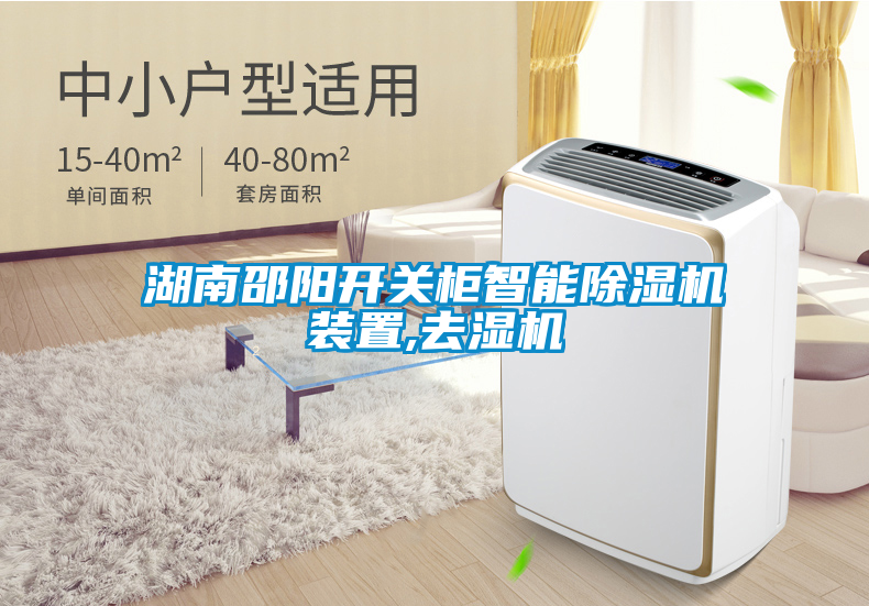 湖南邵陽開關柜智能除濕機裝置,去濕機