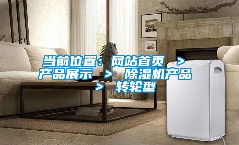 當前位置：網站首頁 ＞ 產品展示 ＞ 除濕機產品  ＞ 轉輪型