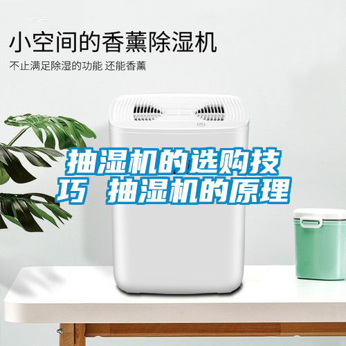 抽濕機的選購技巧 抽濕機的原理