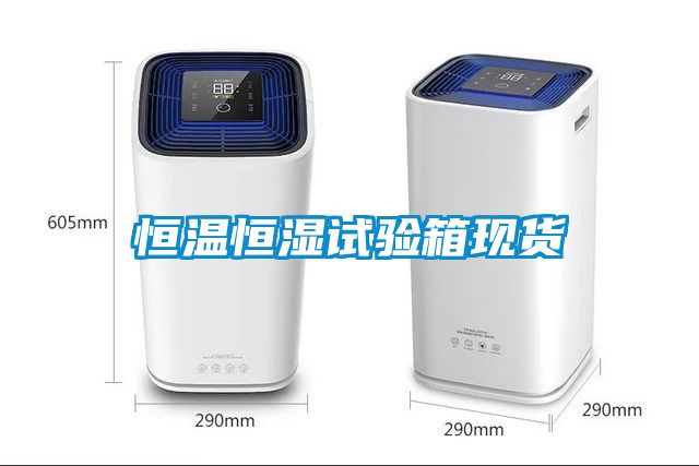 恒溫恒濕試驗(yàn)箱現(xiàn)貨