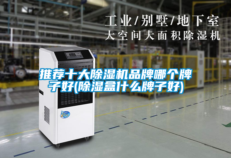 推薦十大除濕機(jī)品牌哪個(gè)牌子好(除濕盒什么牌子好)