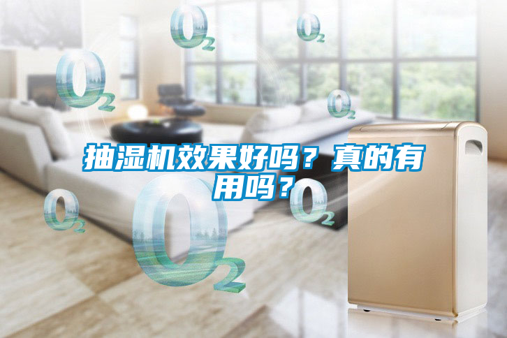 抽濕機效果好嗎？真的有用嗎？