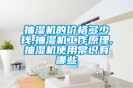 抽濕機(jī)的價(jià)格多少錢,抽濕機(jī)工作原理,抽濕機(jī)使用常識有哪些