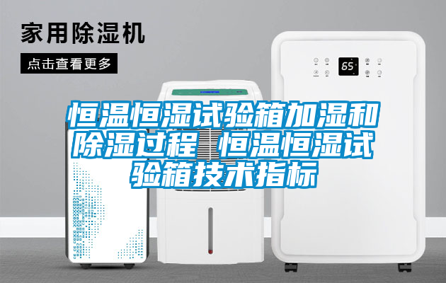 恒溫恒濕試驗(yàn)箱加濕和除濕過(guò)程 恒溫恒濕試驗(yàn)箱技術(shù)指標(biāo)