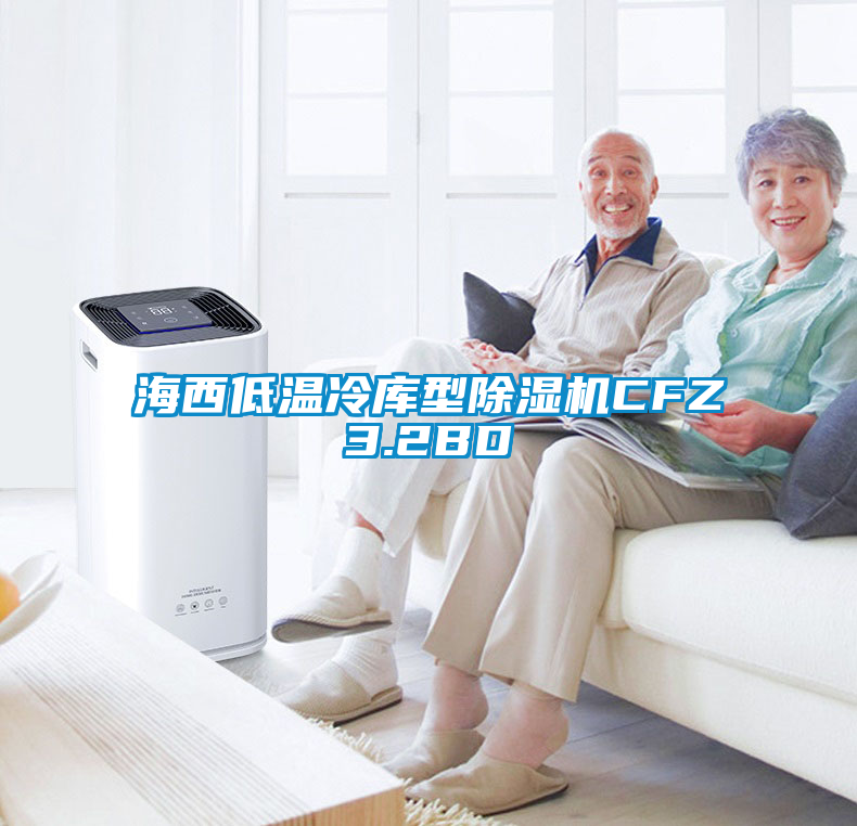海西低溫冷庫型除濕機CFZ3.2BD