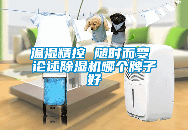 溫濕精控 隨時而變 論述除濕機哪個牌子好