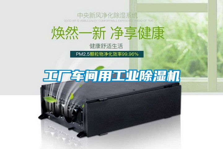 工廠車間用工業(yè)除濕機(jī)