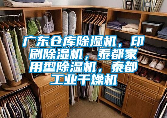 廣東倉庫除濕機(jī)，印刷除濕機(jī)，泰都家用型除濕機(jī)，泰都工業(yè)干燥機(jī)