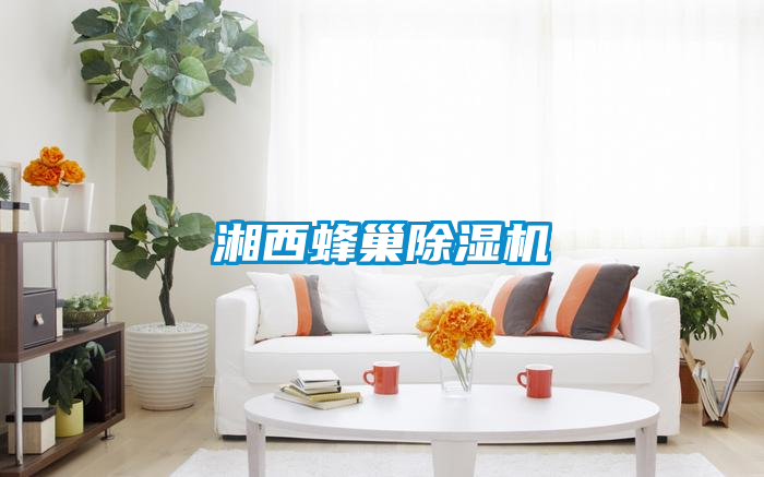 湘西蜂巢除濕機