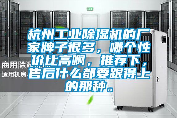 杭州工業除濕機的廠家牌子很多，哪個性價比高啊，推薦下，售后什么都要跟得上的那種。