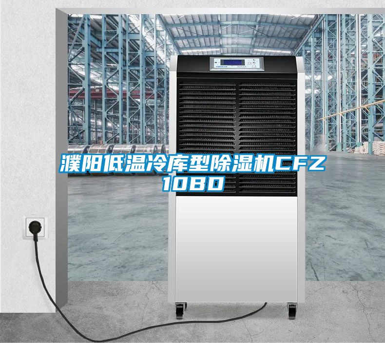 濮陽低溫冷庫型除濕機CFZ10BD