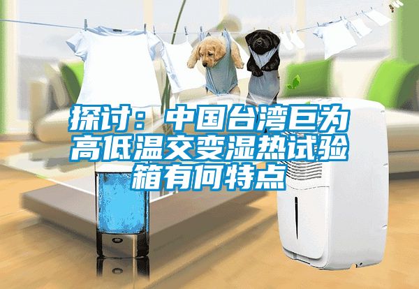 探討：中國臺灣巨為高低溫交變濕熱試驗箱有何特點