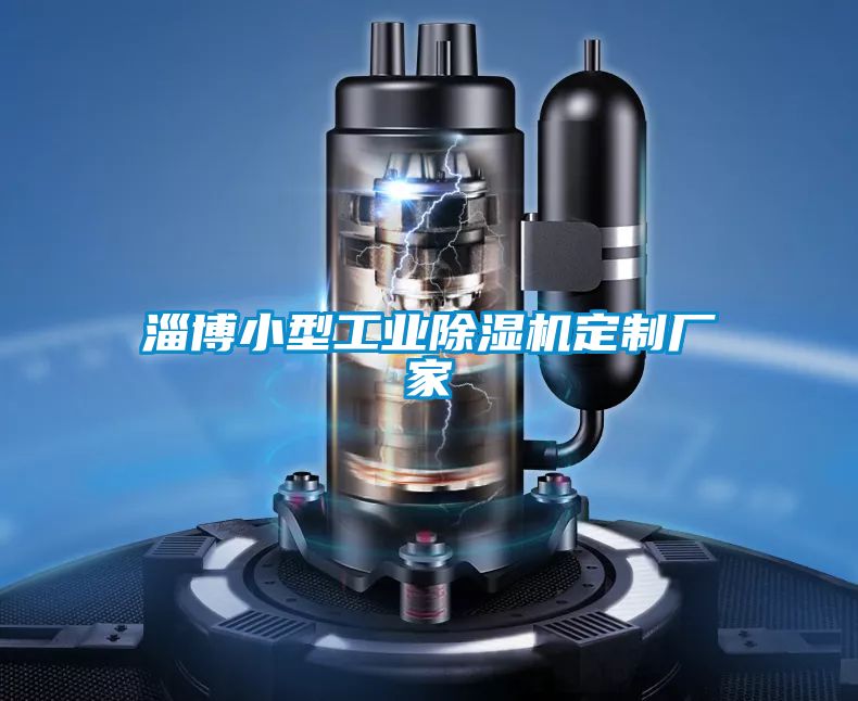 淄博小型工業(yè)除濕機(jī)定制廠家