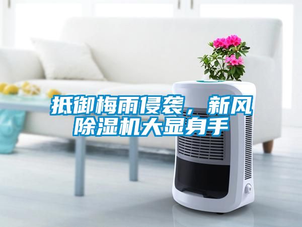 抵御梅雨侵襲，新風除濕機大顯身手