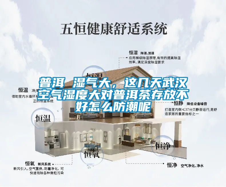 普洱 濕氣大，這幾天武漢空氣濕度大對普洱茶存放不好怎么防潮呢