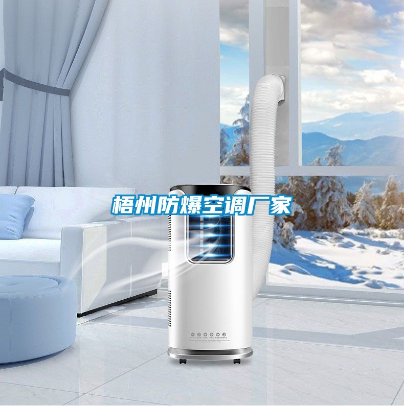梧州防爆空調(diào)廠家