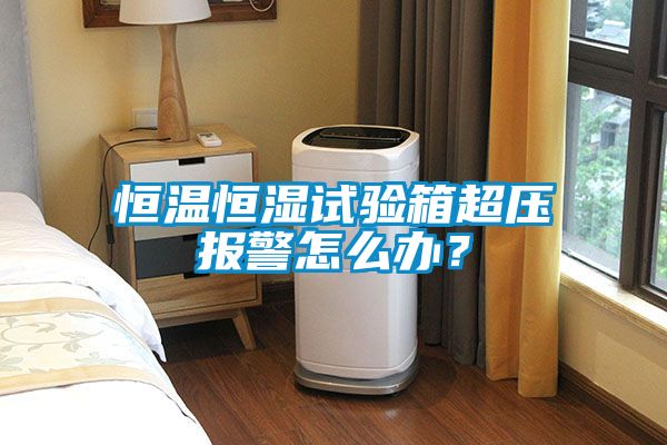 恒溫恒濕試驗箱超壓報警怎么辦？