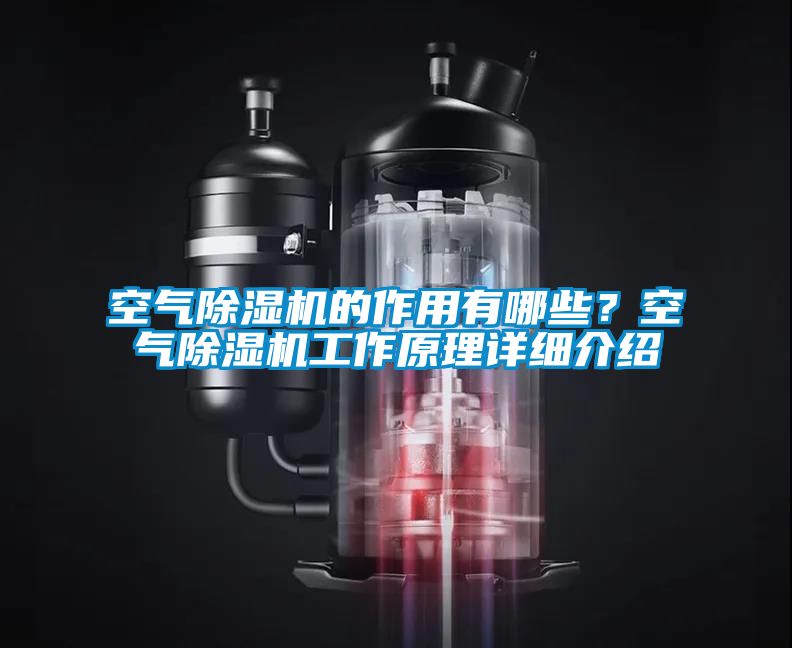 空氣除濕機的作用有哪些？空氣除濕機工作原理詳細介紹