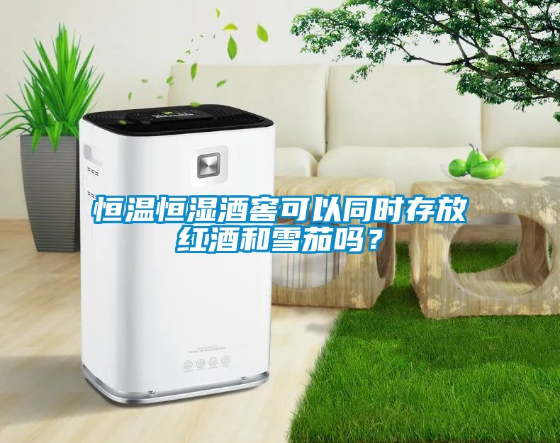 恒溫恒濕酒窖可以同時存放紅酒和雪茄嗎？