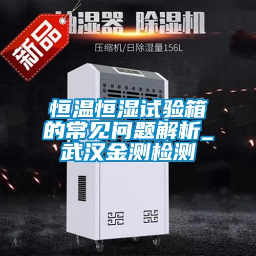 恒溫恒濕試驗箱的常見問題解析_武漢金測檢測