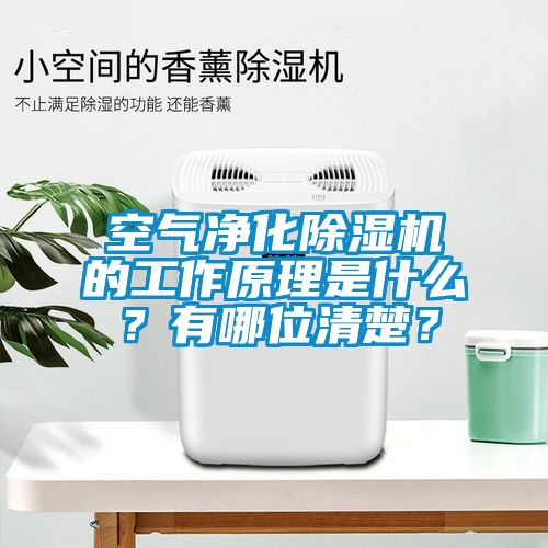 空氣凈化除濕機的工作原理是什么？有哪位清楚？