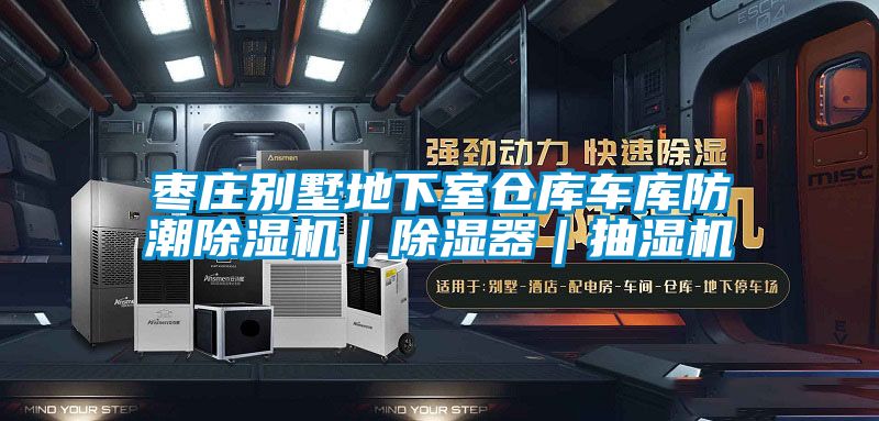 棗莊別墅地下室倉庫車庫防潮除濕機｜除濕器｜抽濕機