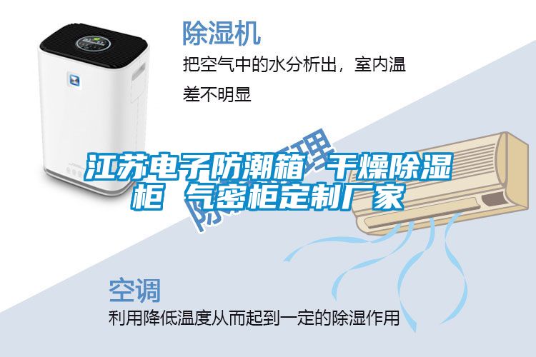 江蘇電子防潮箱 干燥除濕柜 氣密柜定制廠家