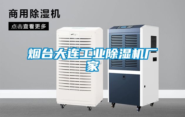 煙臺(tái)大連工業(yè)除濕機(jī)廠家