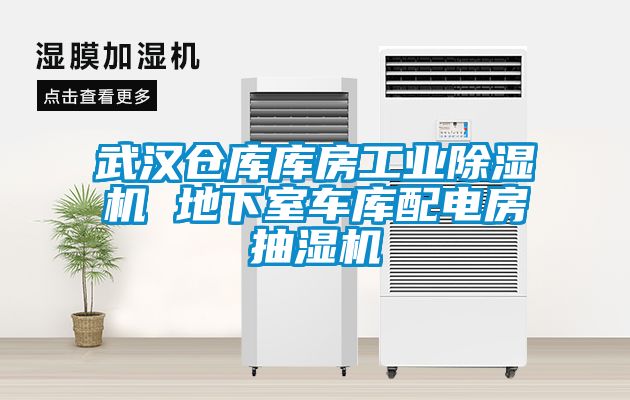 武漢倉庫庫房工業(yè)除濕機 地下室車庫配電房抽濕機