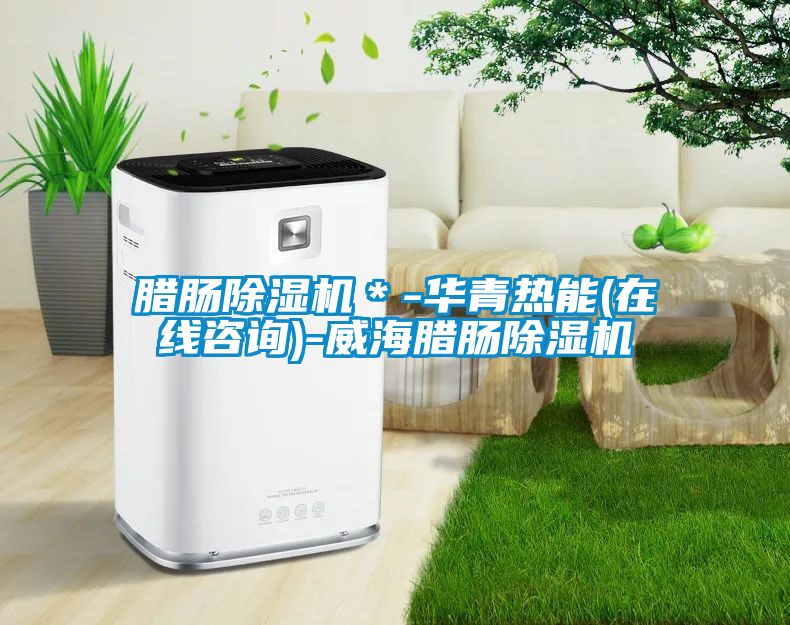 臘腸除濕機＊-華青熱能(在線咨詢)-威海臘腸除濕機