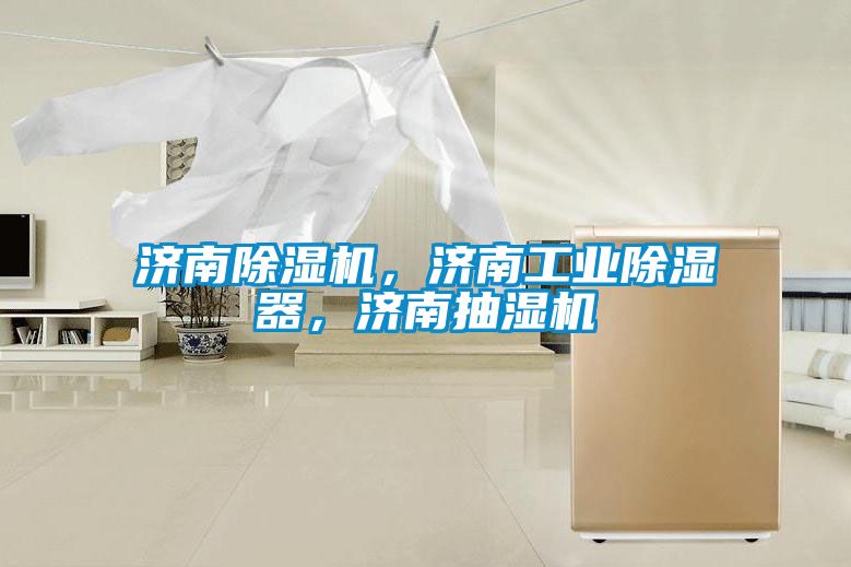 濟南除濕機，濟南工業除濕器，濟南抽濕機