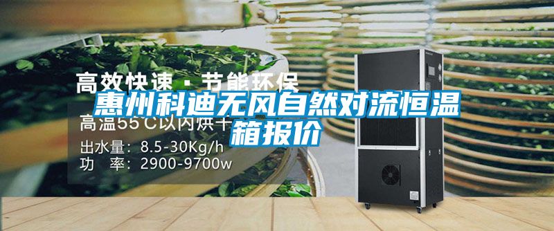 惠州科迪無風自然對流恒溫箱報價