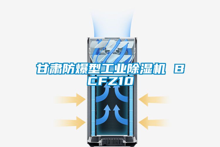甘肅防爆型工業(yè)除濕機(jī) BCFZ10