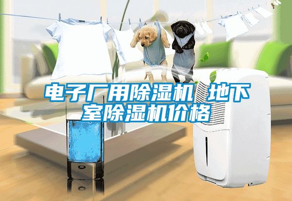 電子廠用除濕機 地下室除濕機價格