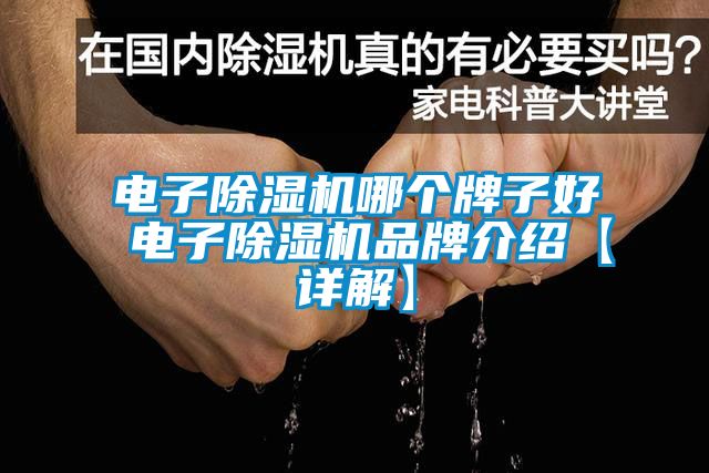 電子除濕機哪個牌子好 電子除濕機品牌介紹【詳解】