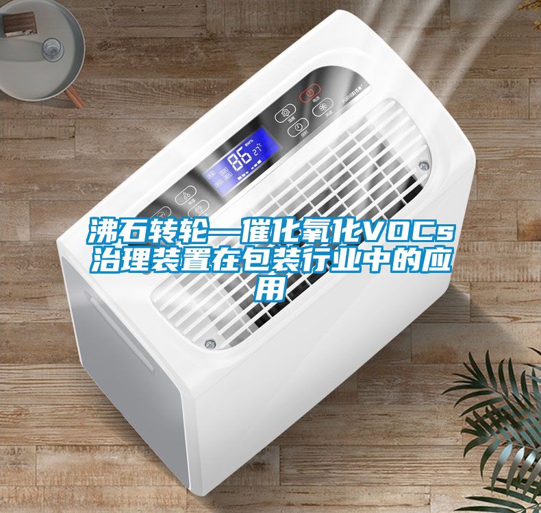 沸石轉輪—催化氧化VOCs治理裝置在包裝行業中的應用