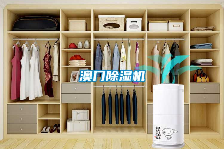 澳門除濕機