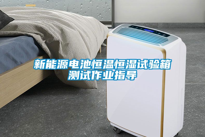 新能源電池恒溫恒濕試驗(yàn)箱測(cè)試作業(yè)指導(dǎo)
