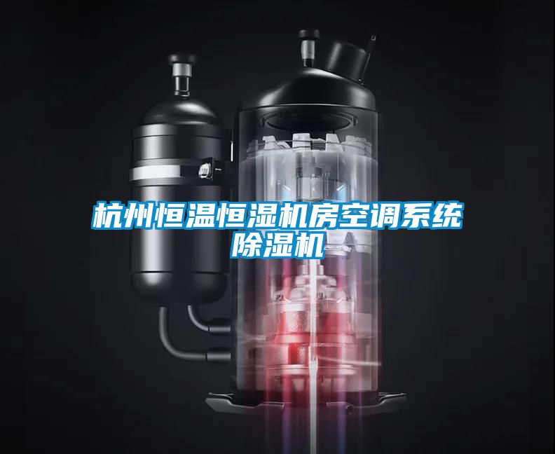 杭州恒溫恒濕機房空調(diào)系統(tǒng)除濕機