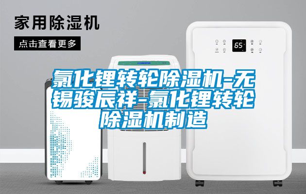 氯化鋰轉輪除濕機-無錫駿辰祥-氯化鋰轉輪除濕機制造