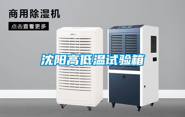 沈陽高低溫試驗箱